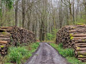 200 Acres secluded woodland near Winchester Hampshire UK